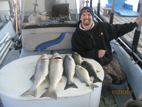 Nice Striped Bass